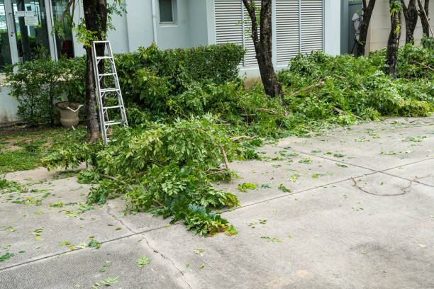Best Lawn Watering Services  in Felton, CA